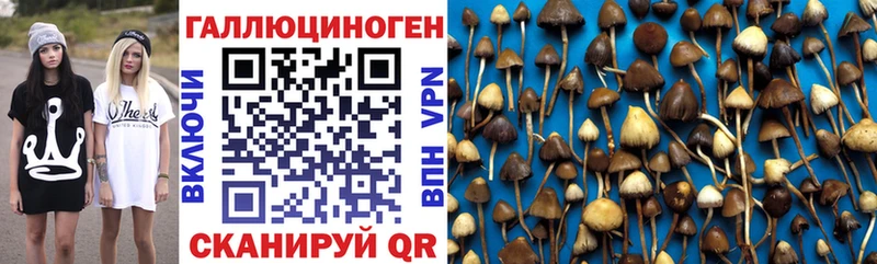 Псилоцибиновые грибы Magic Shrooms  mega ссылки  Фурманов 